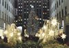永谷　憲（ロックフェラーセンターのクリスマスツリー、2012年・ニューヨーク）